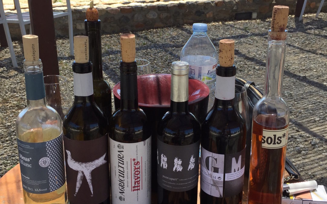 wine selection at vineyard